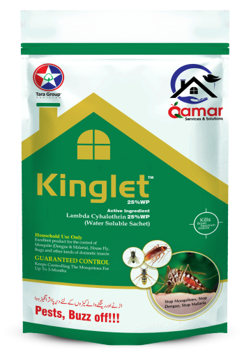 Kinglet-1 (1)