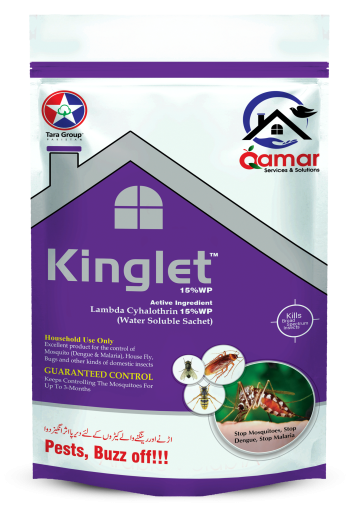 Kinglet